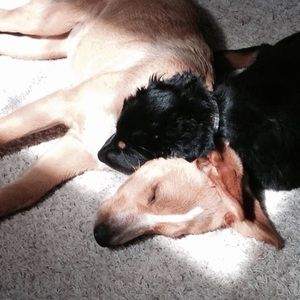 Meet your Posher, Tracy